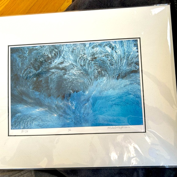 The Secret World of Frost Archival pigment print of a photograph by Mark Hopkins - Picture 1 of 4